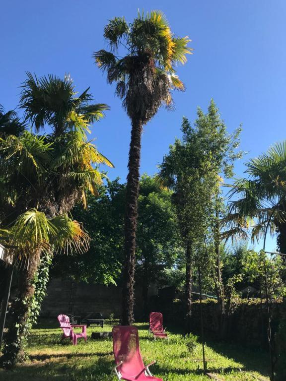 un groupe de palmiers et de chaises roses dans un parc dans l'établissement LE LOGIS LE PIC DU MIDI et LE LOGIS LE COL D'ASPIN, à Lourdes