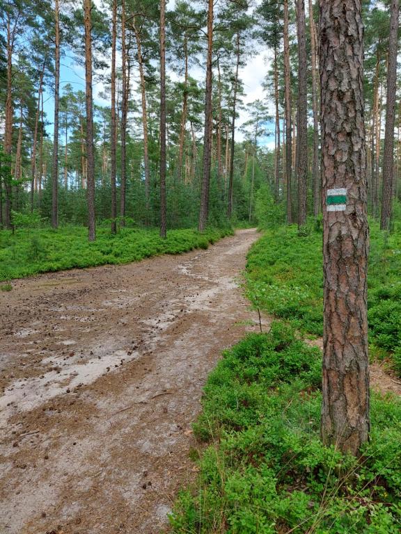 Loodusmaastik puhkemaja lähedal