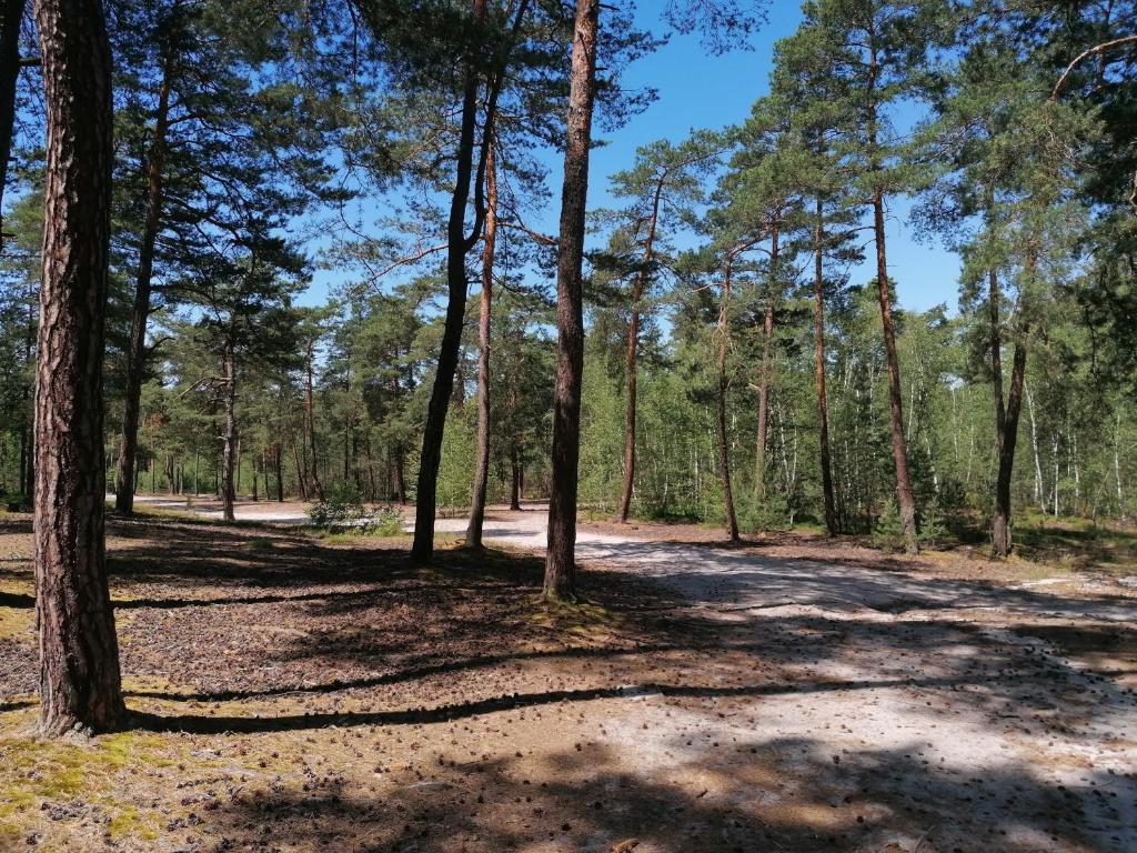 Loodusmaastik puhkemaja lähedal