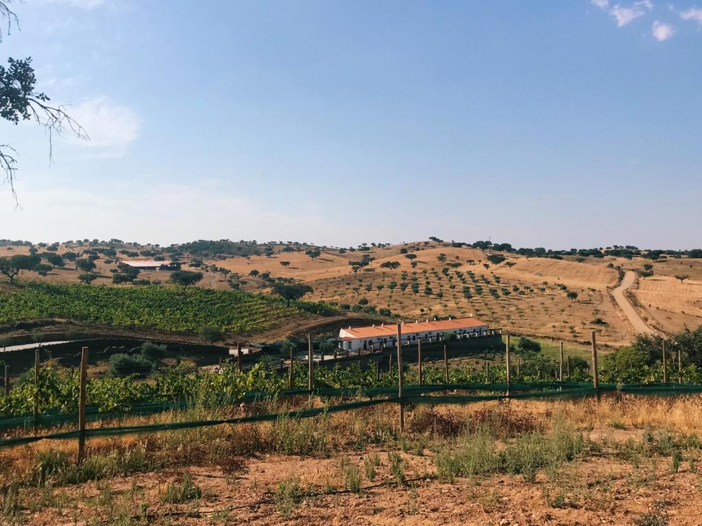 un train traversant un vignoble sur une colline dans l'établissement Herdade da Moringa, à Corte do Pinto