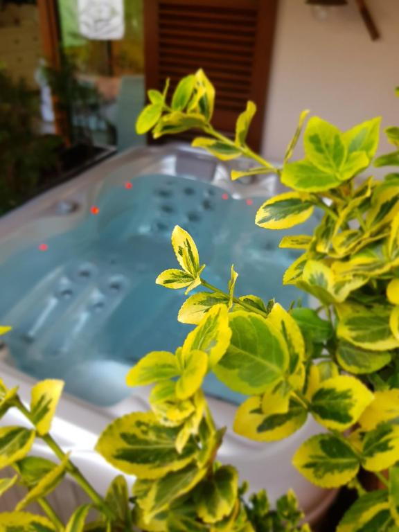 Fotografia z galérie ubytovania Spa Love Home Sauna Jacuzzi ROMANTYCZNY DOM DLA PARY Z PRYWATNYM SPA v destinácii Zielona Góra