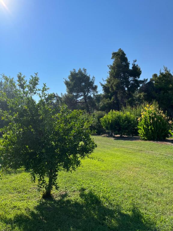Zahrada ubytování Paralia Homes peaceful 2 bedroom, unit # 2