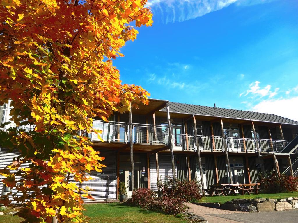 an exterior view of a building in the fall at Vikingskipet Hotell in Hamar