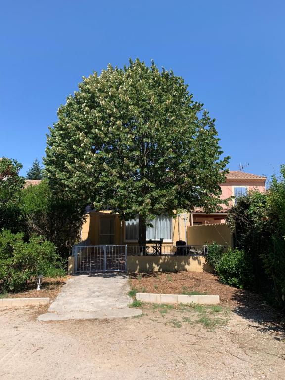 a large tree in front of a house at Gîte l'Ouvèze in Roaix