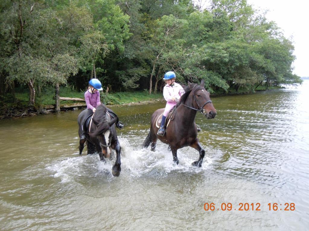 Fotografie z fotogalerie ubytování Ross House Equestrian Holidays v destinaci Mountnugent