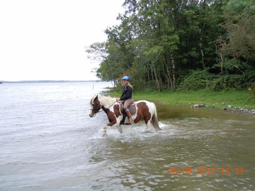 Fotografie z fotogalerie ubytování Ross House Equestrian Holidays v destinaci Mountnugent