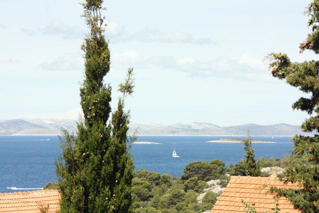 Príroda v okolí apartmánu