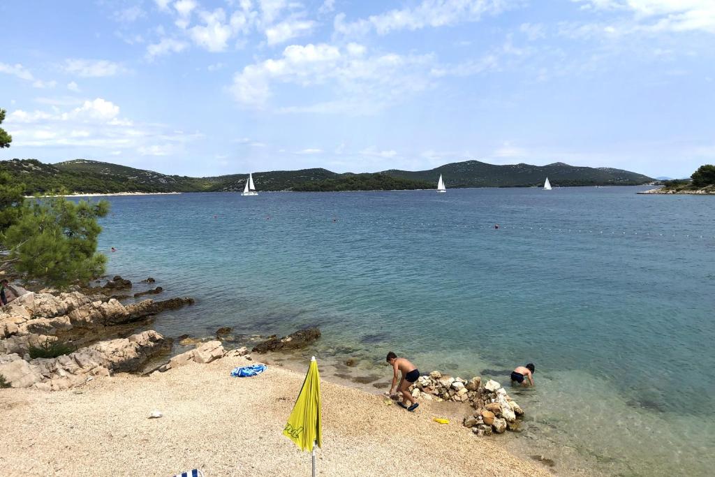 two people standing on a beach with sheep in the water at Apartments by the sea Jezera, Murter - 5123 in Jezera