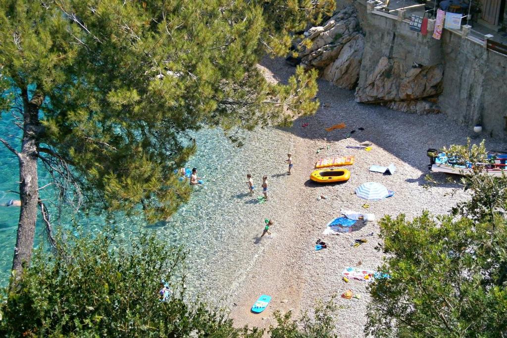 Príroda v okolí apartmánu