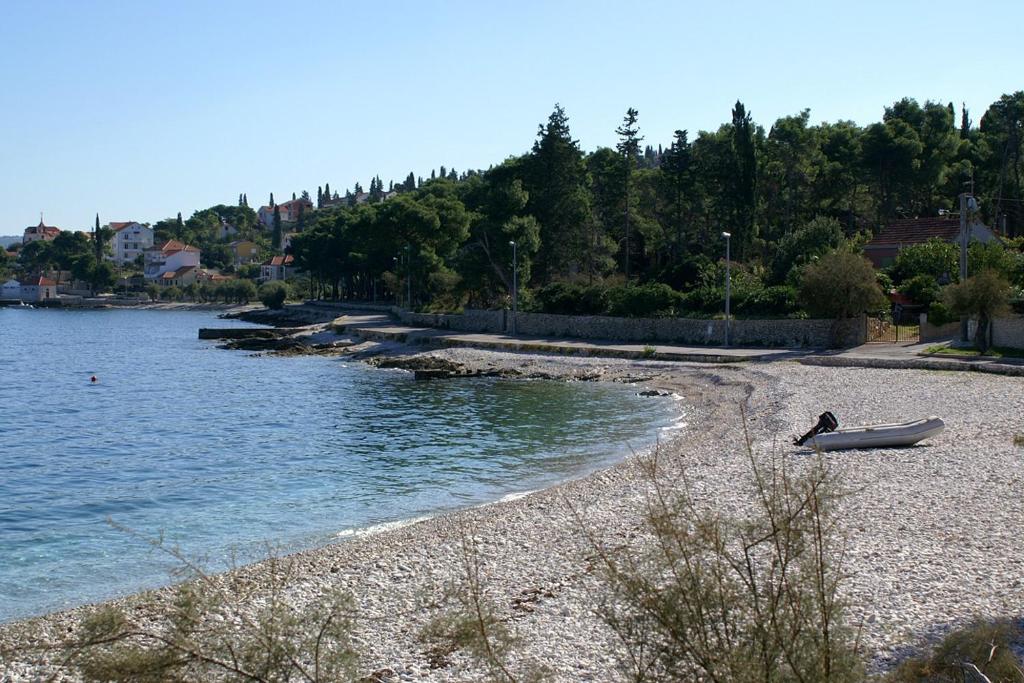 Příroda nedaleko apartmánu