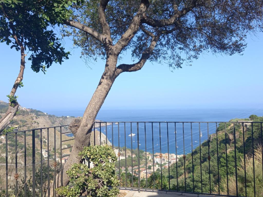 a tree on a hill with the ocean in the background at Villa daniela in Taormina