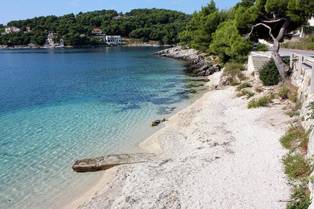 Fotografie z fotogalerie ubytování Apartments by the sea Sumartin, Brac - 758 v destinaci Sumartin