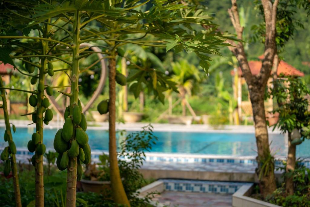 Tan Dinh Farmstay - 11