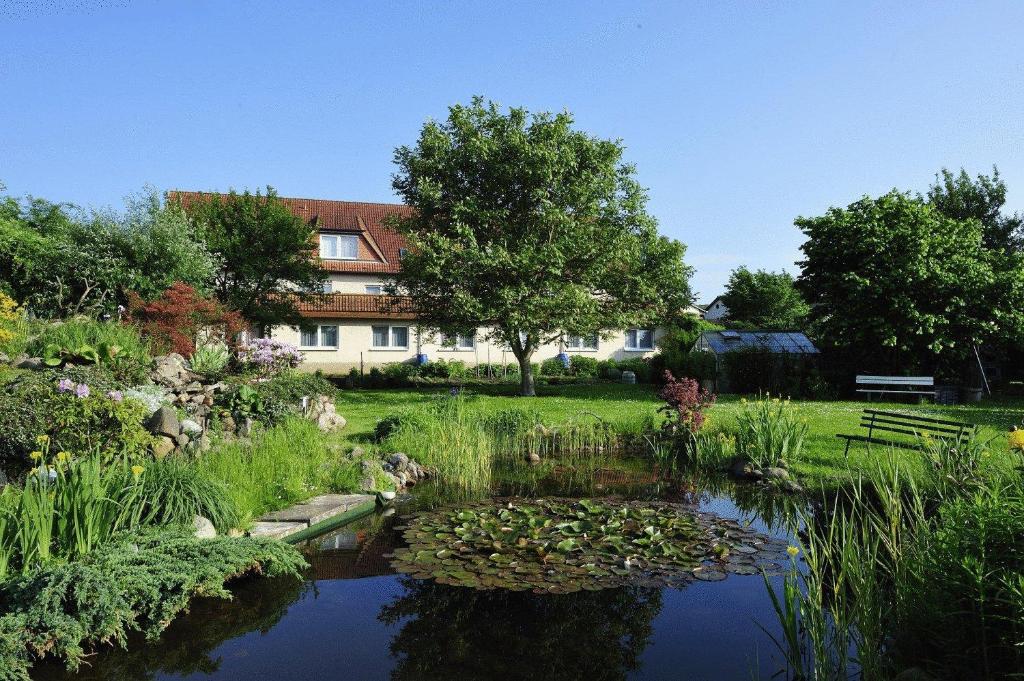 einen Garten mit einem Teich vor einem Gebäude in der Unterkunft Gasthaus Zum Rethberg in Lübstorf