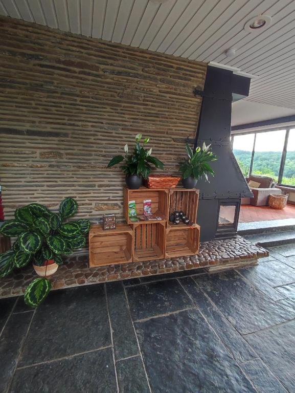 Zahrada ubytování Villa Viveye