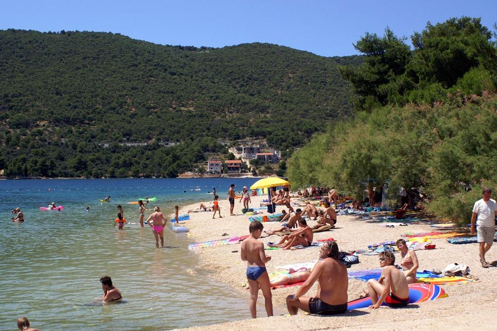 Příroda nedaleko apartmánu