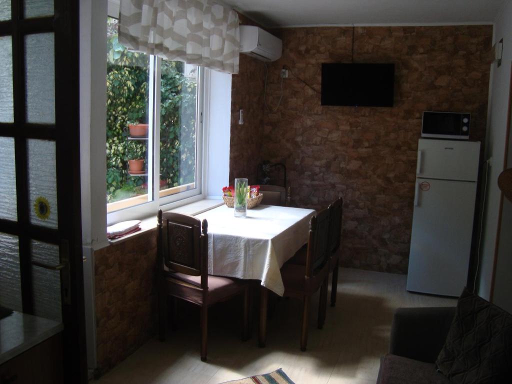 Kuchyňa alebo kuchynka v ubytovaní Studio Apartment Lile
