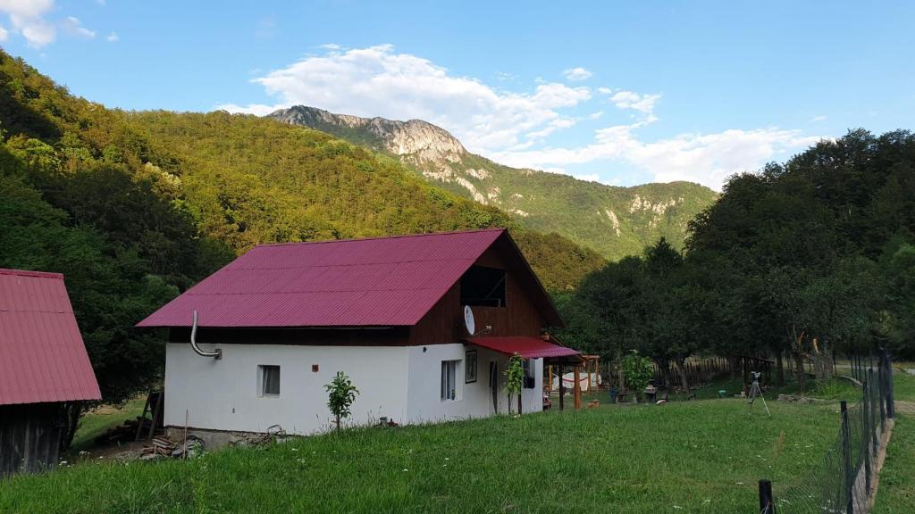 una pequeña casa con techo púrpura en un campo en Cabana lui Foardă en Motru Sec