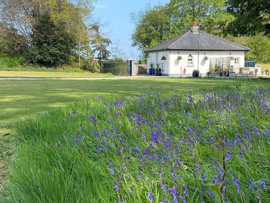 een veld met paarse bloemen voor een gebouw bij Rathjarney Gatelodge in Wexford