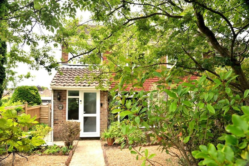 a small house with a white door in a yard at Cosy house, a train spotter's delight! in New Alresford