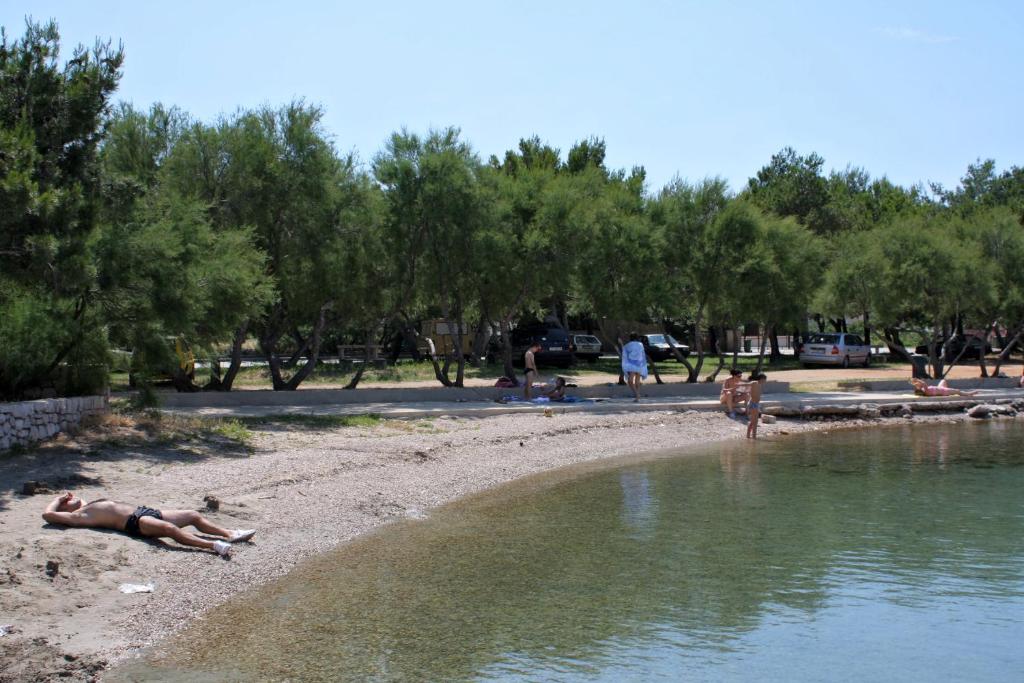 Príroda v okolí apartmánu