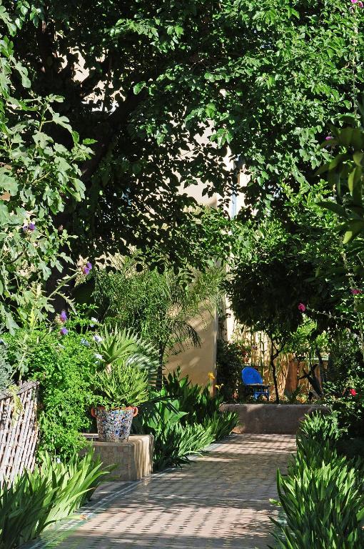 Zahrada ubytování Riad Jardin Des Biehn