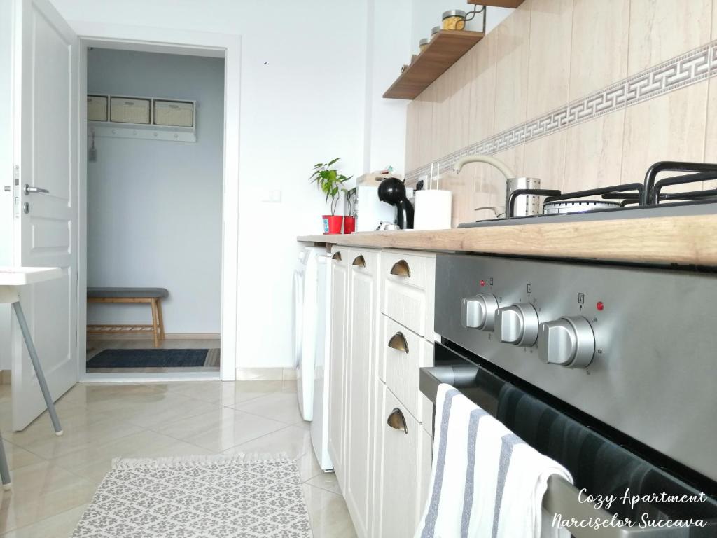 een keuken met witte kasten en een aanrecht bij Cozy Apartment Narciselor Suceava in Ipoteşti