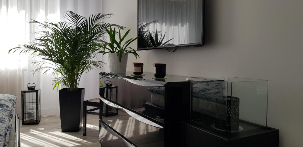 a living room with a glass table and potted plants at Apartament I Love Gdynia in Gdynia
