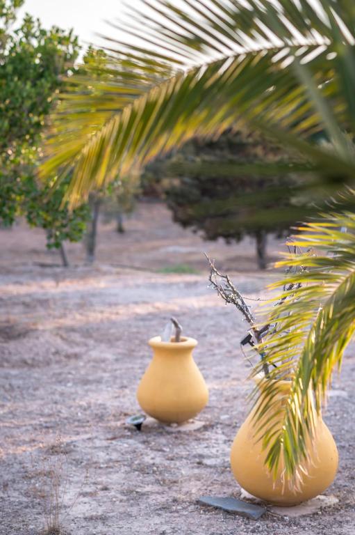 Fotografie z fotogalerie ubytování MARFAIA - Villa by the sea v destinaci Áyioi
