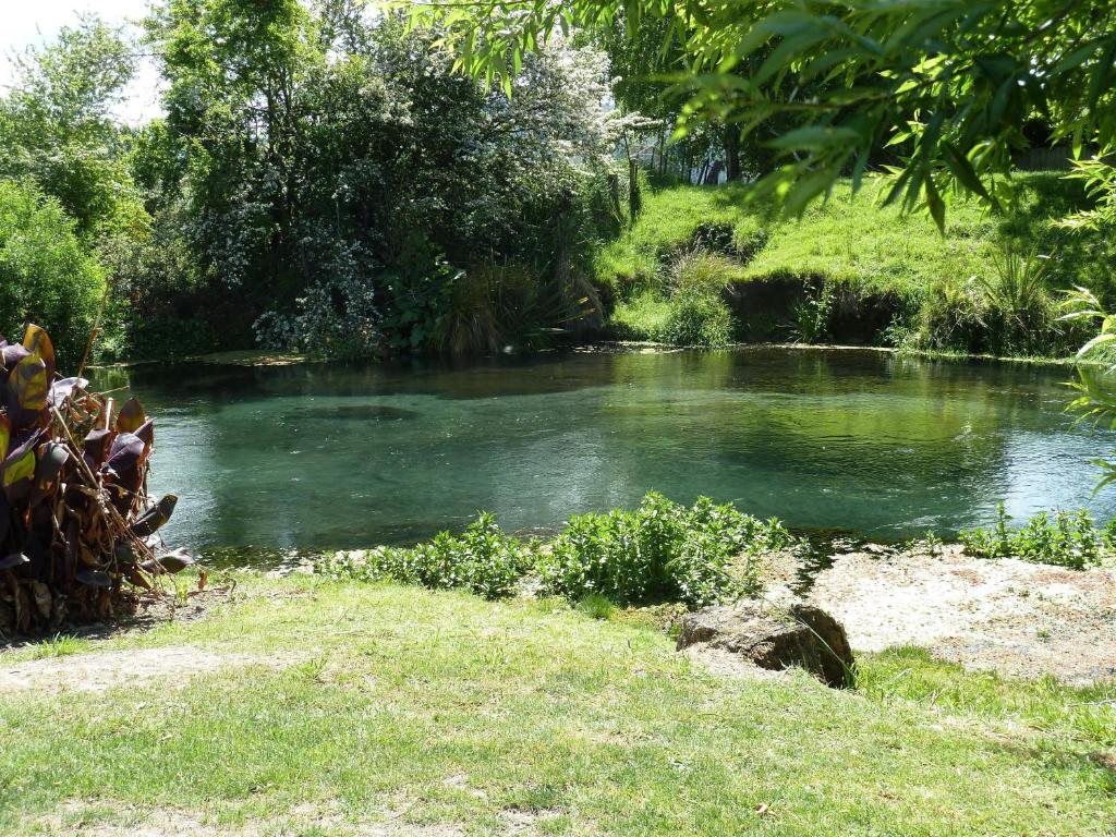 Spring Creek Holiday Park - Resim 19