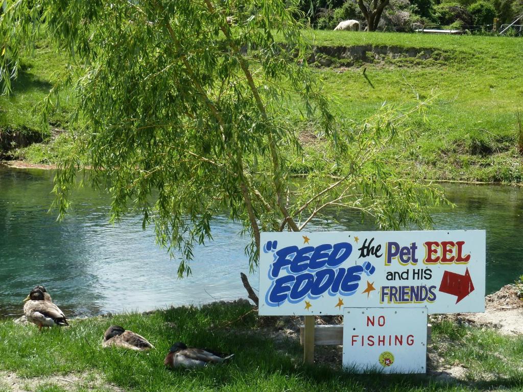 Spring Creek Holiday Park - Resim 29