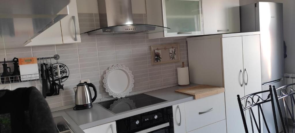 Kuchyňa alebo kuchynka v ubytovaní Apartman Dane