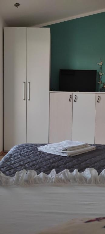 Televízia a/alebo spoločenská miestnosť v ubytovaní Apartman Dane
