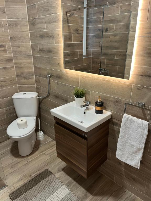 a bathroom with a toilet and a sink and a mirror at Apartmani Tesla in Soko Banja