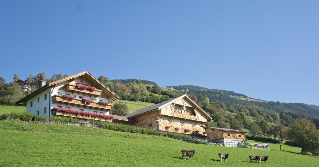 a group of buildings on a hill with cows in a field at Oberbaumgartnerhof in Falzes