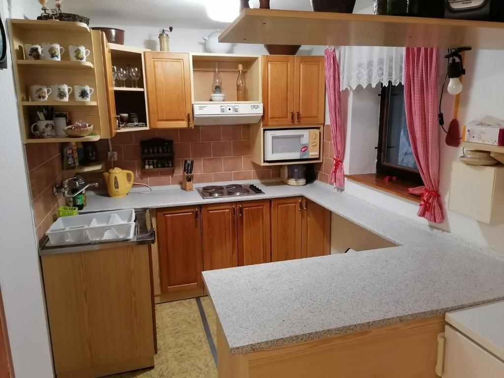 eine Küche mit Holzschränken und einer Arbeitsplatte in der Unterkunft Na samotě u lesa in Libňatov