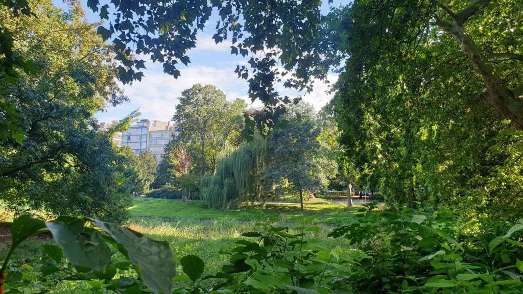 vista su un parco alberato e su un campo di lovely two bedroom apartment with free parking ad Anversa