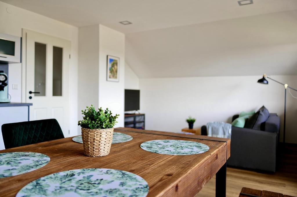 a wooden table with a potted plant on top of it at Ferienwohnung "Casa El Aberle" Modern eingerichtet in schöner Lage mit Parkplatz in Stockach