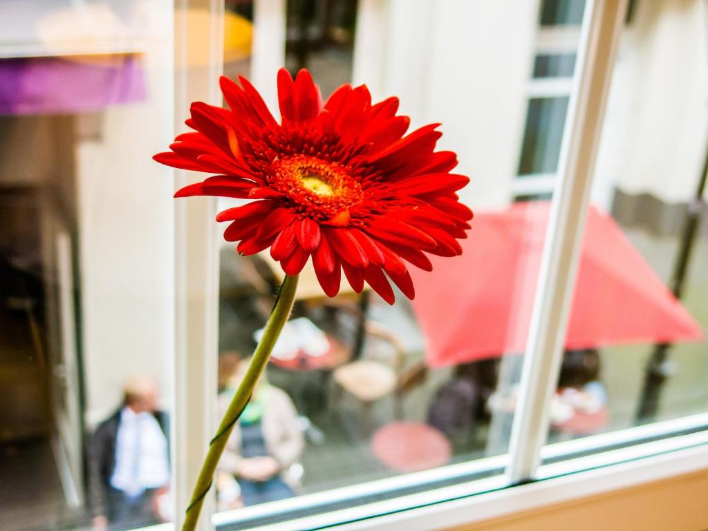 The Soho Altstadt Relais - Resim 41