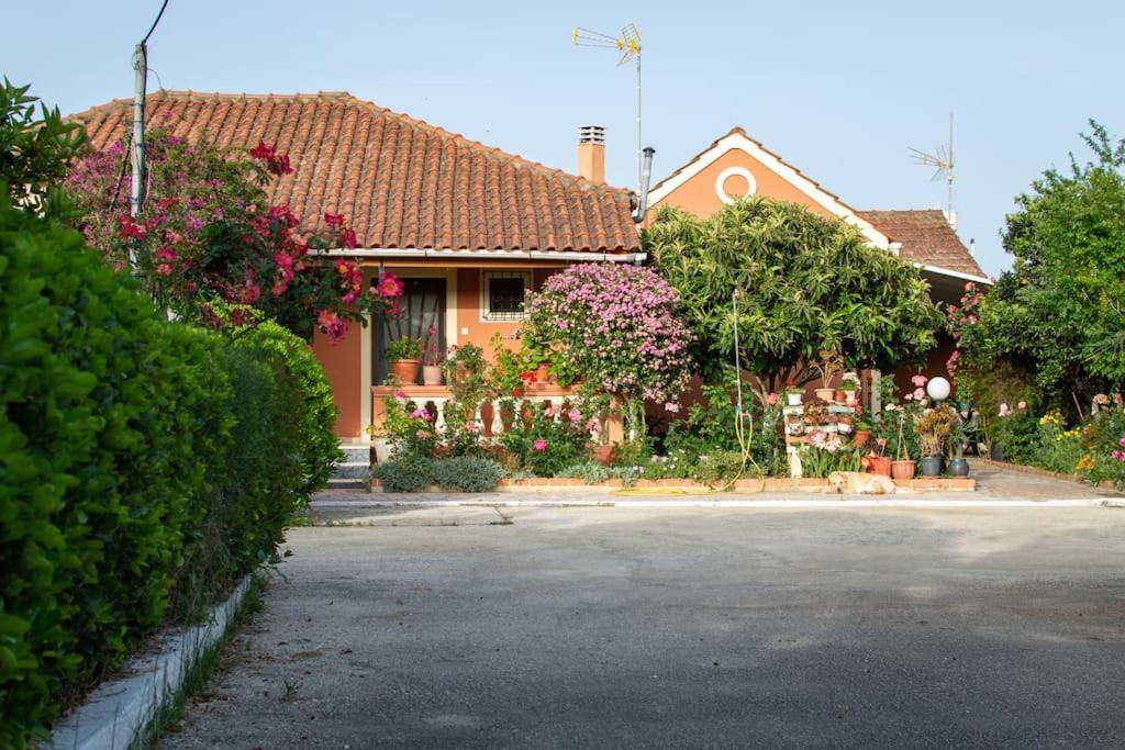 a house with flowers and plants in front of it at Rose Garden 2 in Kavos
