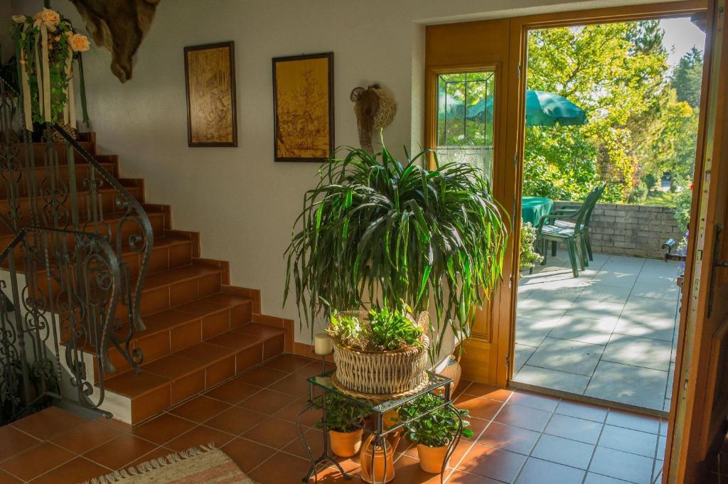 Zahrada ubytování Landhaus Doris