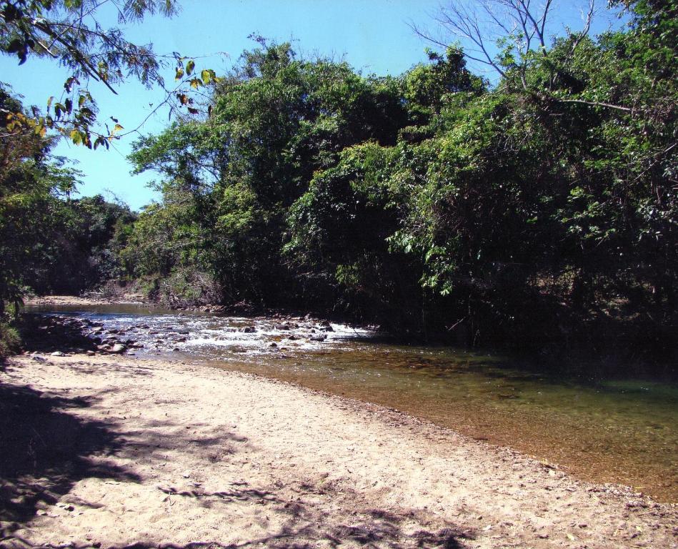 a dirt road next to a river with trees at Sítio Aroeira Estúdios in Alto Paraíso de Goiás