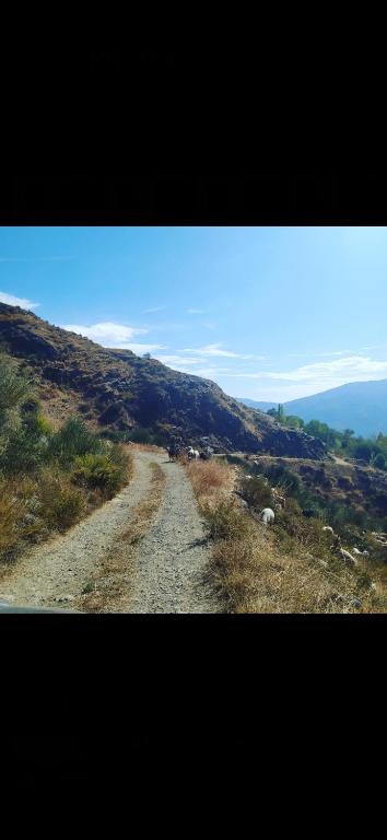 Cortijo La Chaparra 20 minute mountain drive up unmade roads above Lanjaron