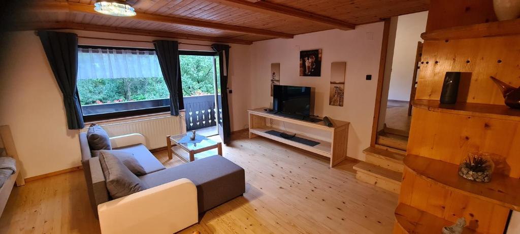 TV a/nebo společenská místnost v ubytování Apartma Vidic