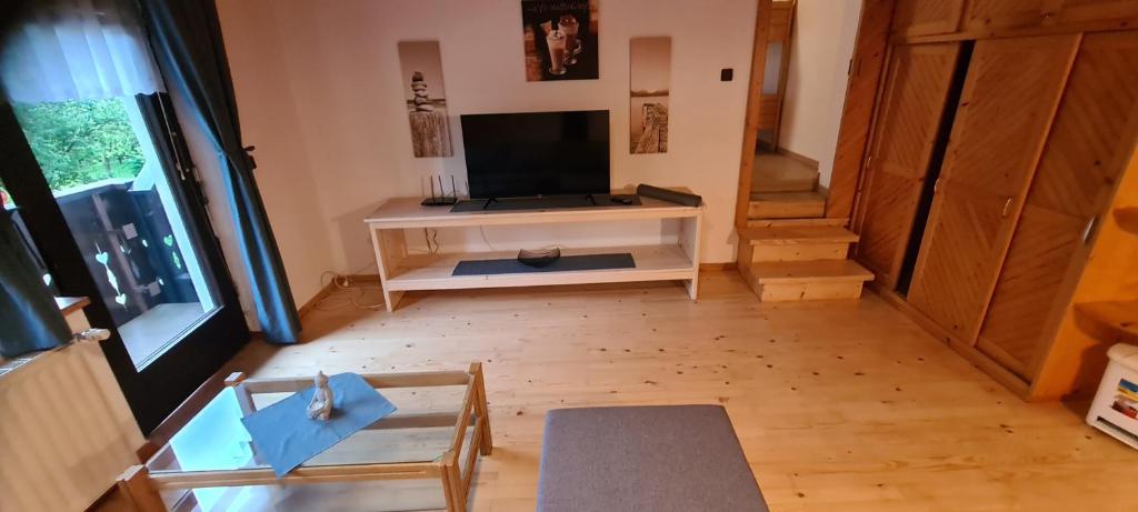 TV a/nebo společenská místnost v ubytování Apartma Vidic