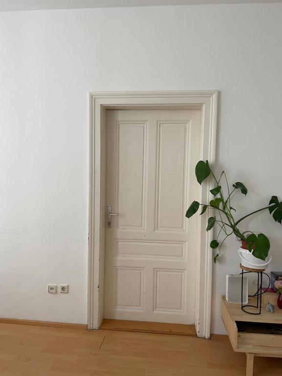 Fotografie z fotogalerie ubytování City Apartment and rooms ve Vídni