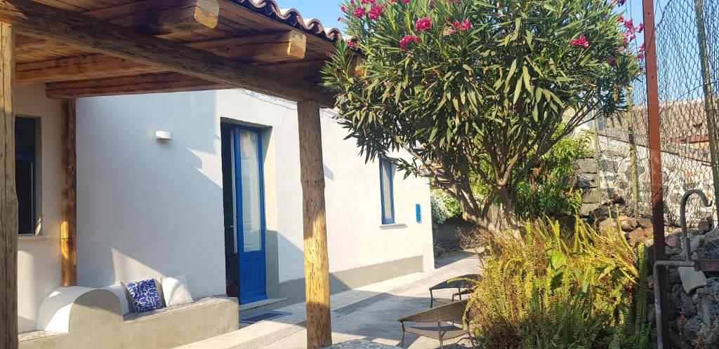 un porche con una puerta azul y un árbol en Casaammari, en Acireale