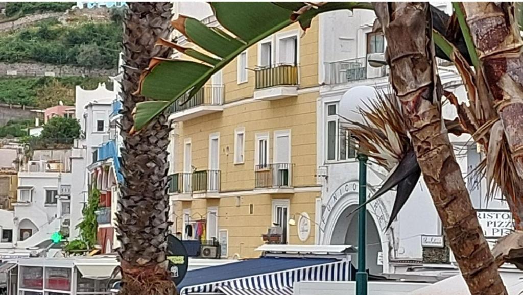 d'un bâtiment avec un palmier dans l'établissement Capri Aquarium Friends, à Capri
