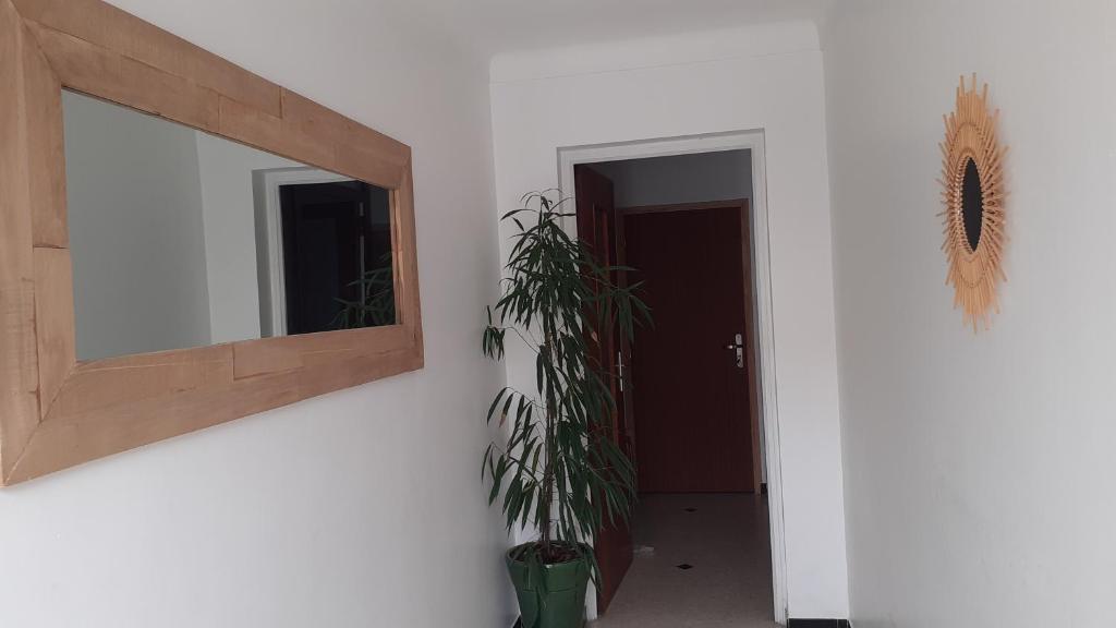 Fotografia z galérie ubytovania Bel appartement avec grande terrasse ensoleillée et jardin v destinácii Perpignan