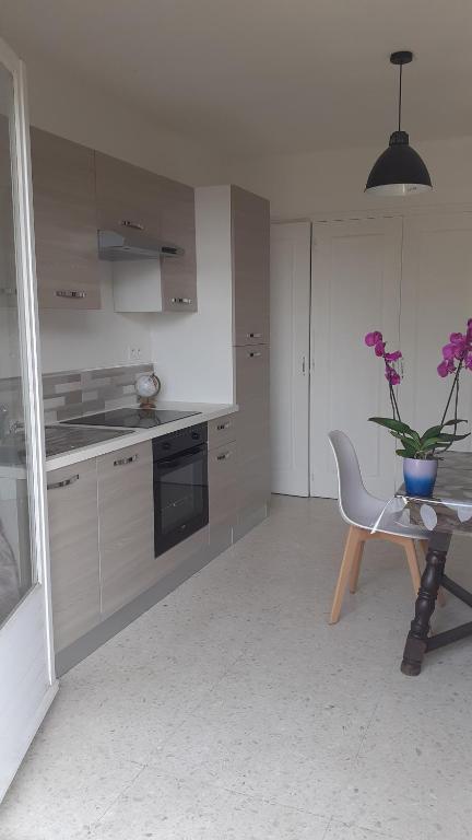 Kuchyňa alebo kuchynka v ubytovaní Bel appartement avec grande terrasse ensoleillée et jardin
